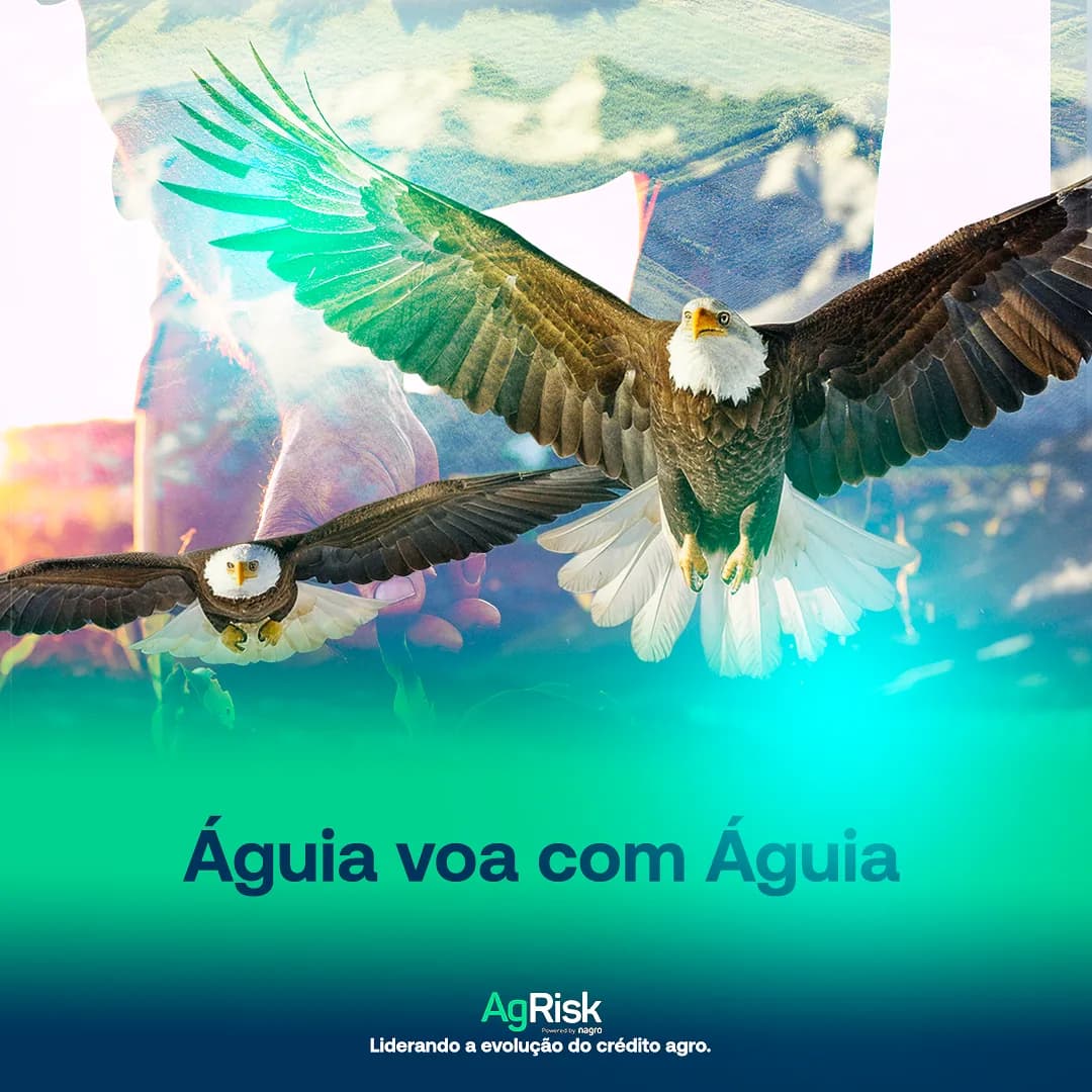 Projeto para AgRisk